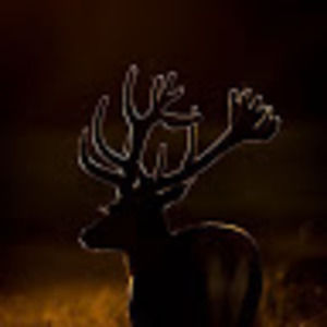 Meet your Posher, Chad